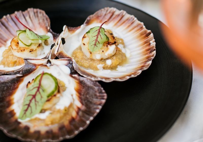 6 Venues for a Global Gastronomic Experience