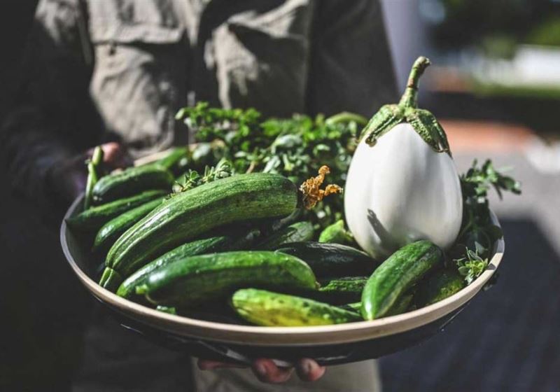 Must-Visit Farm-to-Table Restaurants Showcasing Australia’s Best Local Produce