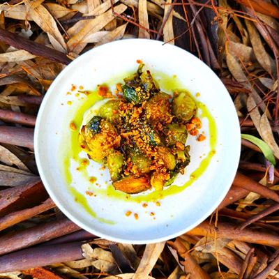 Harvest Kitchen