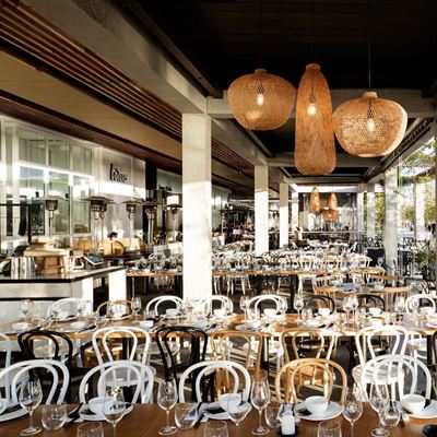Lotus Restaurant Barangaroo