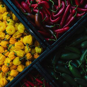 Farmer’s Bounty – A Culinary Collaboration