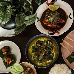Take Away at Jungle Fowl, Port Douglas