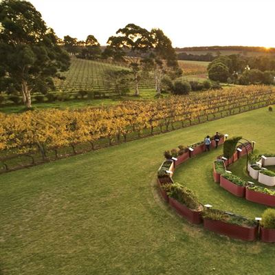 Cullen Wines Biodynamic Wine Room